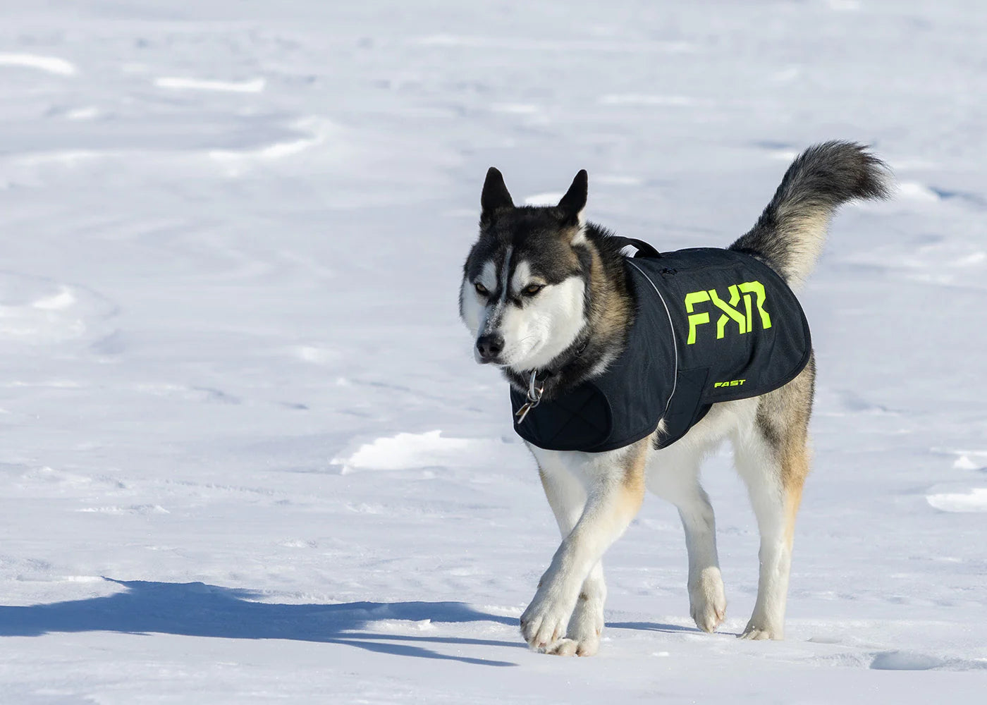 FXR CX Dog Coat Black/Hi-Vis