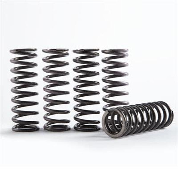 Hinson Hi-Temp Clutch Spring Kit Honda CRF450R 21-26, CRF450RX 21-26, CR500 90-01