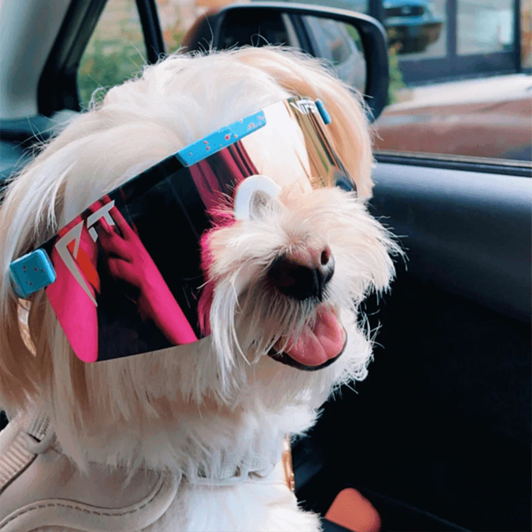 Pit Viper The Gobby Polarized Double Wide Sunglasses